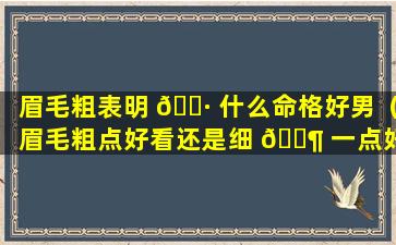 眉毛粗表明 🌷 什么命格好男（眉毛粗点好看还是细 🐶 一点好看）